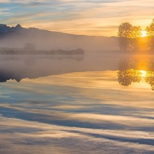 Meet your Posher, Billy